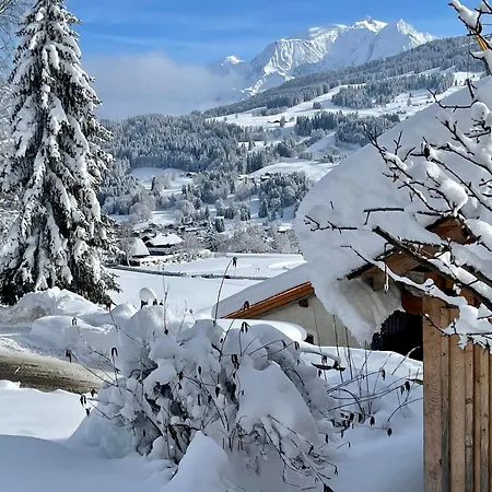 A Megeve-vauvray - Grands , Vue Mont Blanc Demi-Quartier